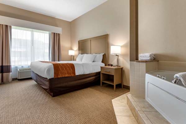 Comfort Inn & Suites Farmington - Victor photo 2