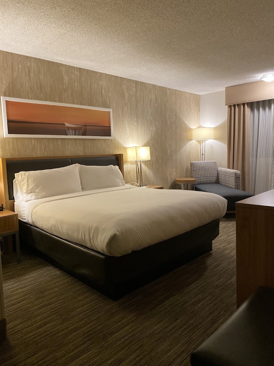 Holiday Inn Express San Francisco-Airport South by IHG photo 2