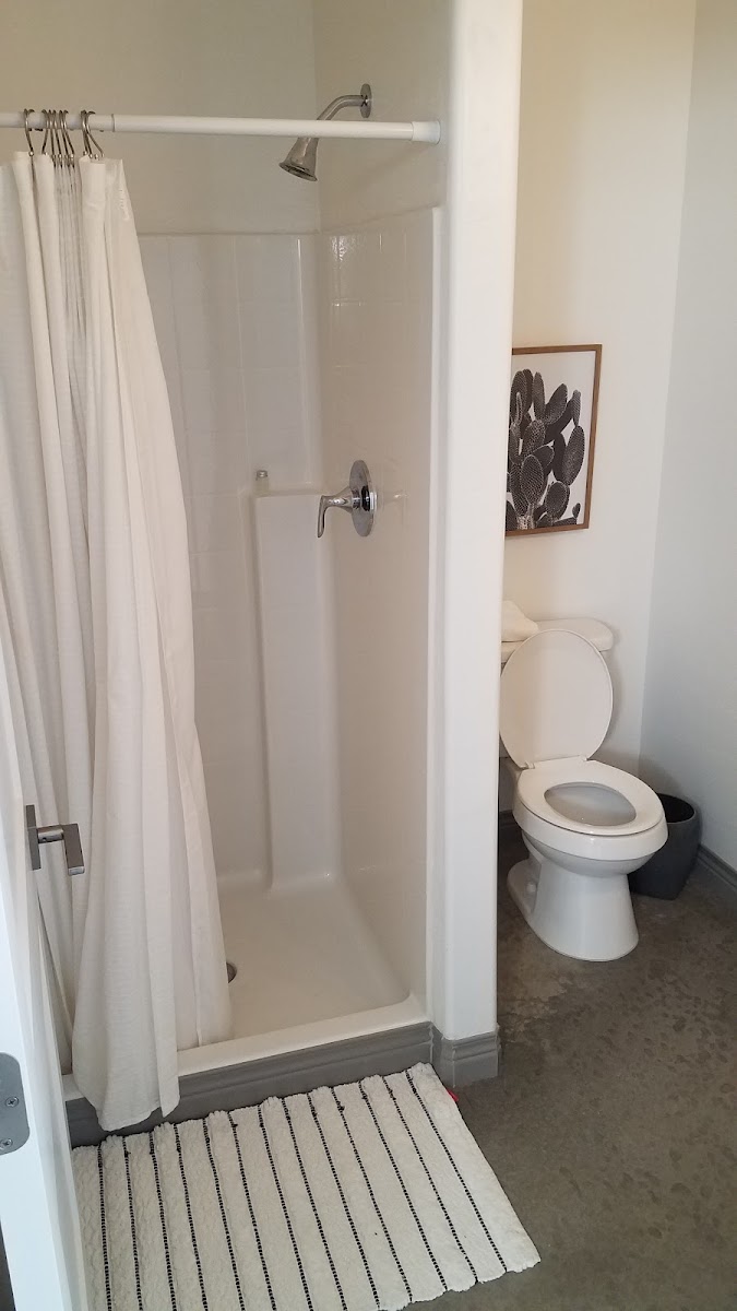 Room 6
