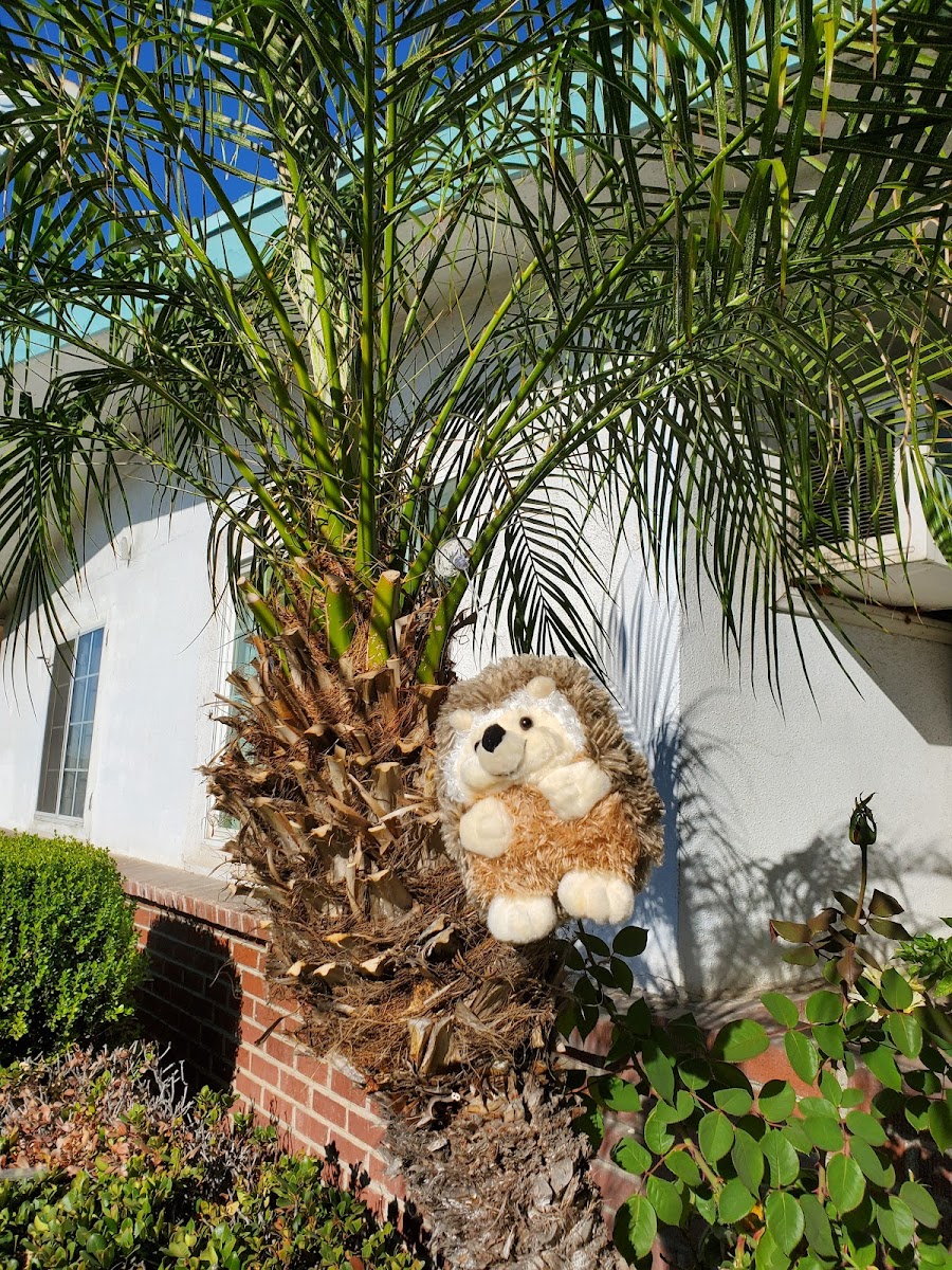 El Rey Motel photo 3