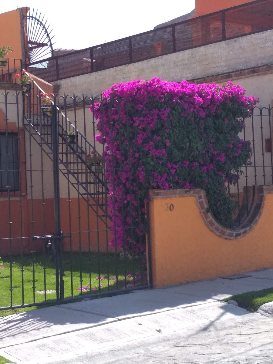 Hoteles en San Miguel de Allende