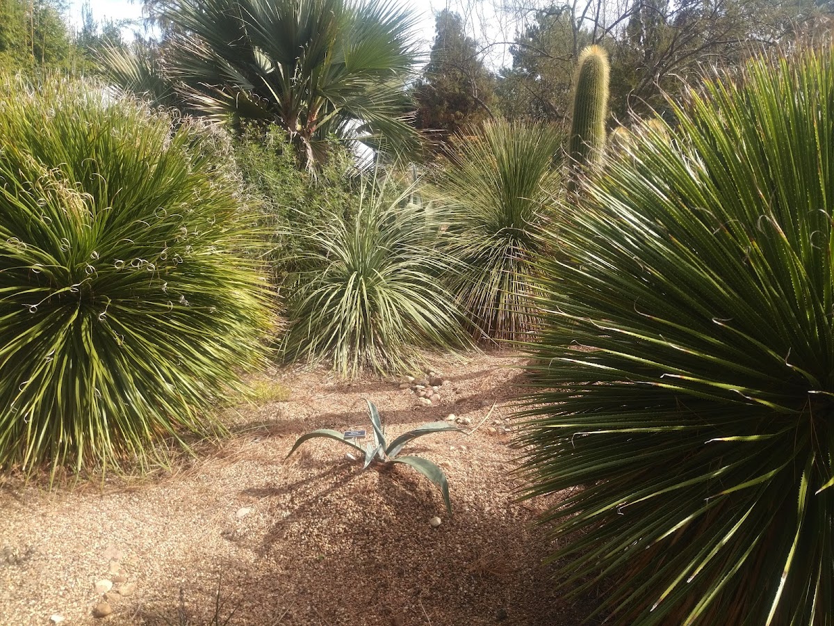 The John Fairey Garden Conservation Foundation