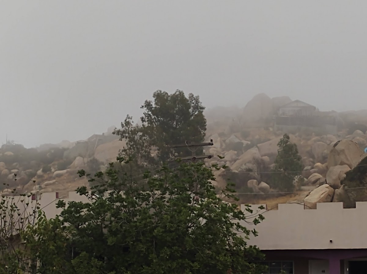 Hotel Bougambilias Resort Inn photo 3