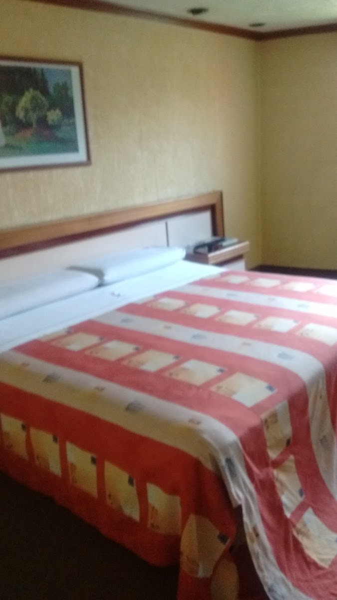 Room 3
