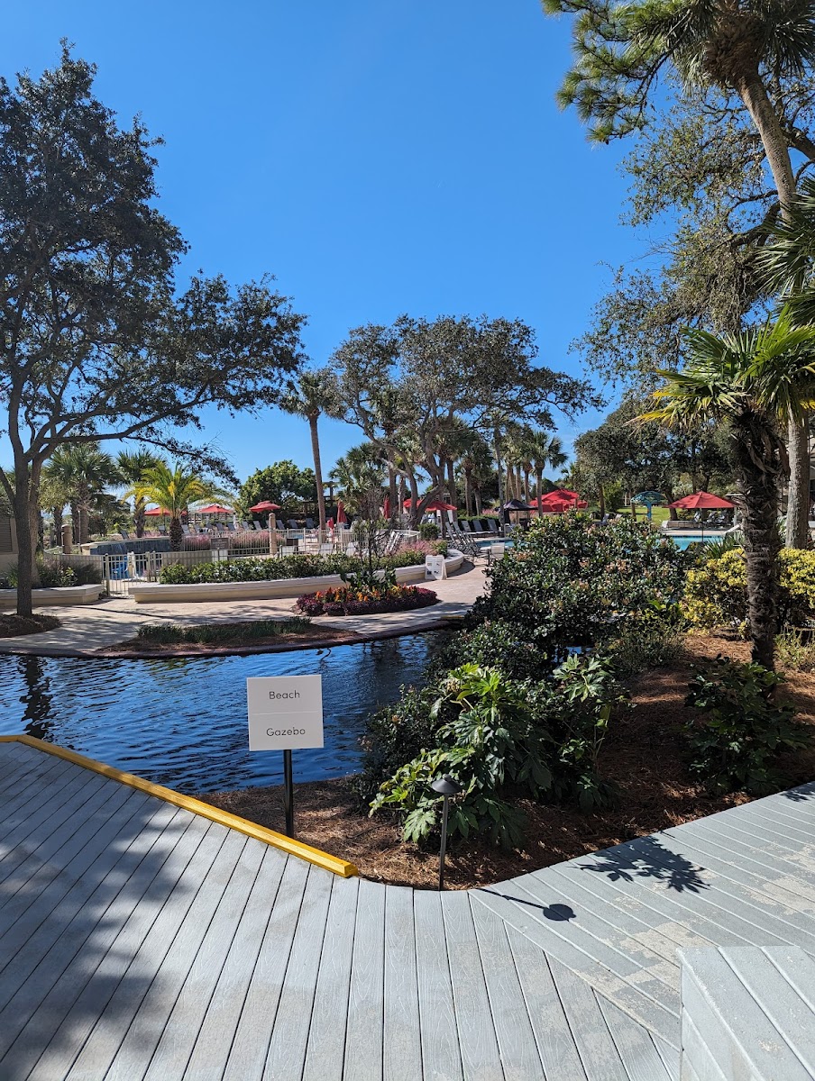 The Sea Pines Resort photo 3