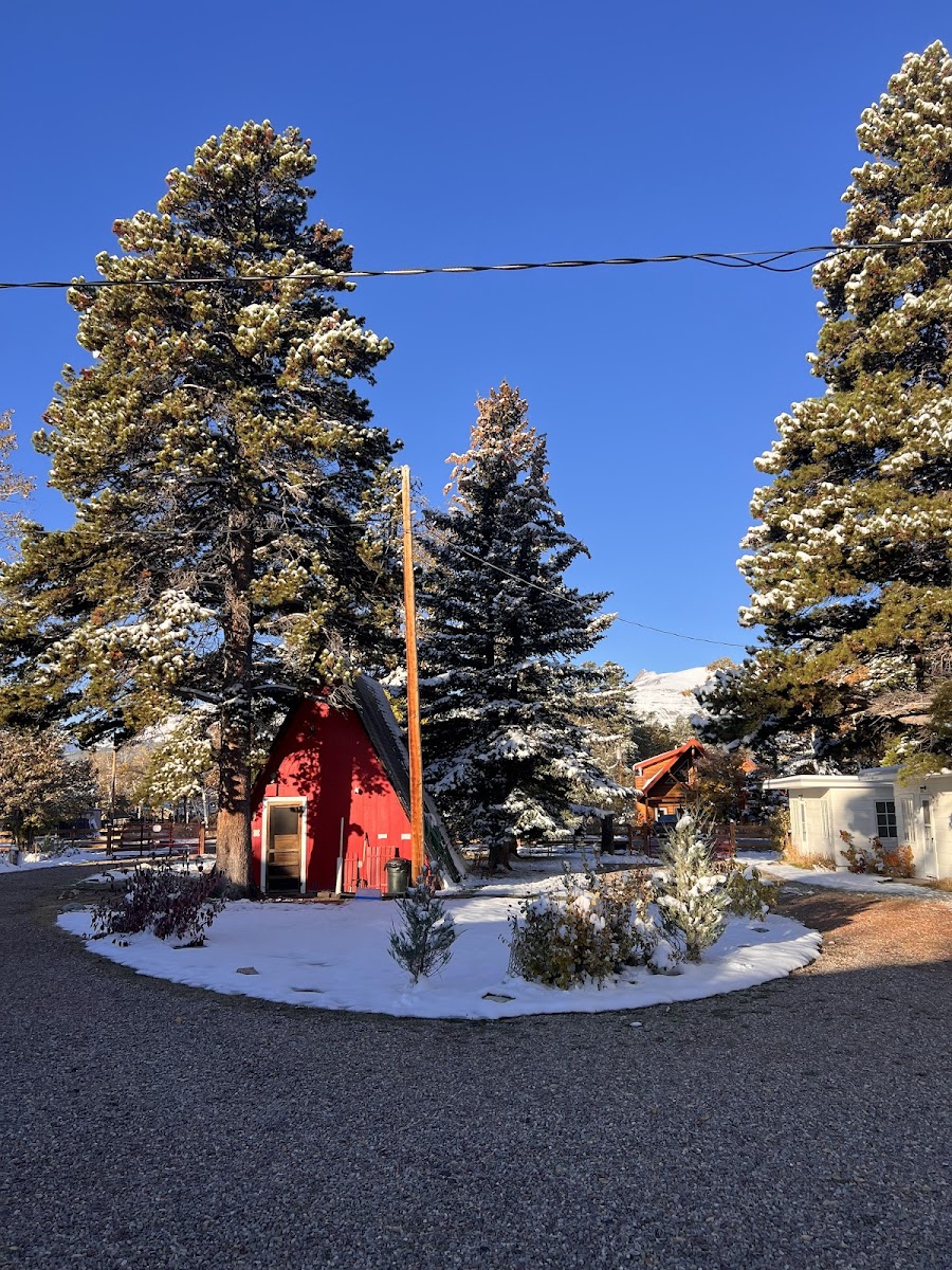 Jacobson's Cottages photo 3