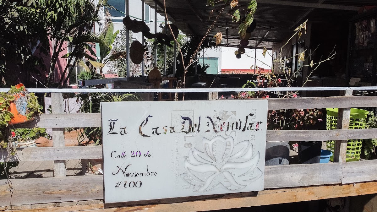 La Casa Del Nenufar photo 3
