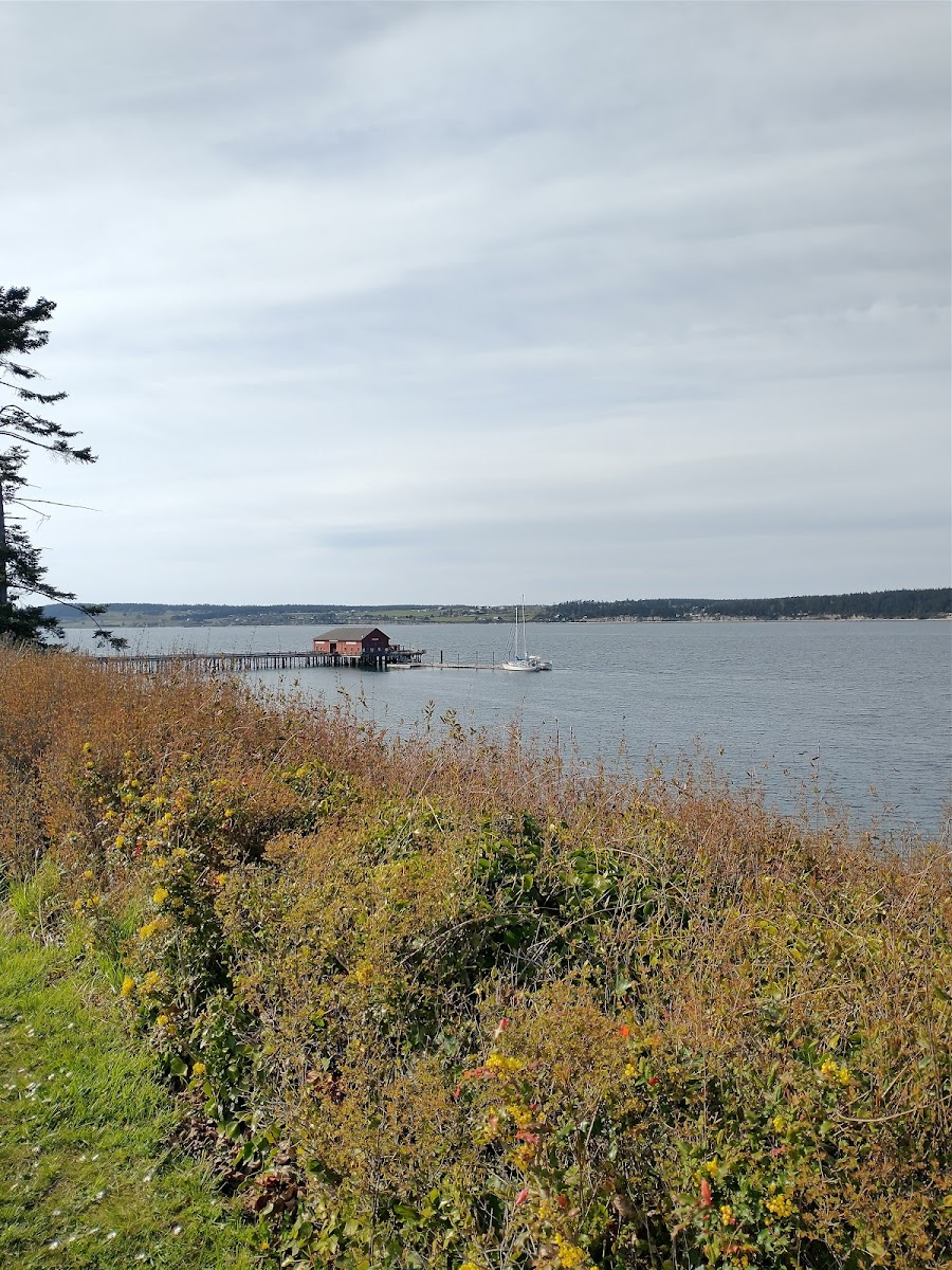 By the Cove Vacation Suites photo 3