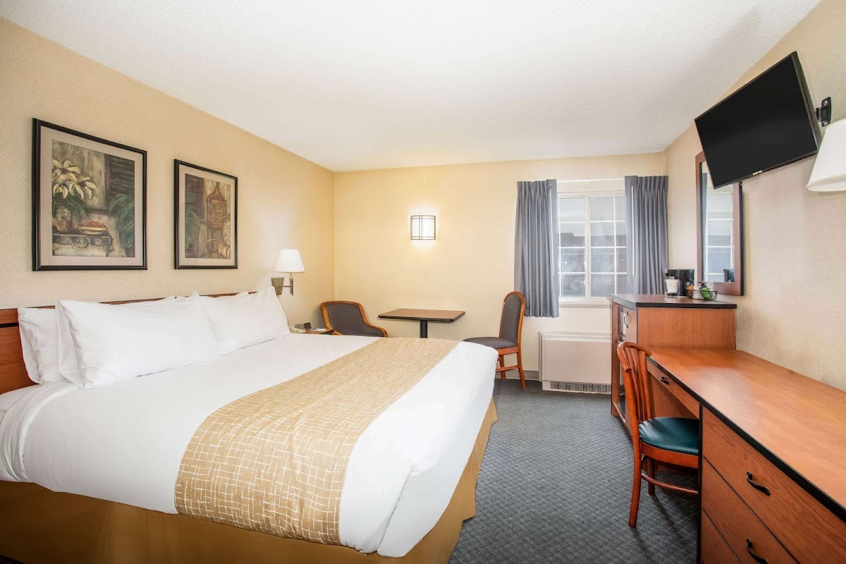 Travelodge by Wyndham Colorado Springs Airport/Peterson SFB photo 2