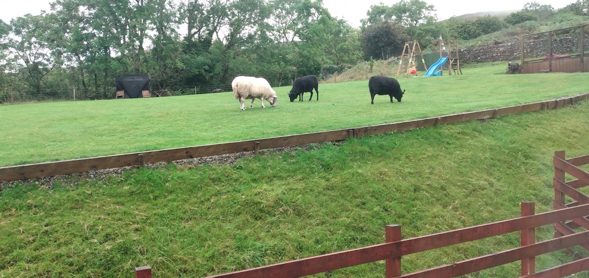 Arle Lodge photo 3