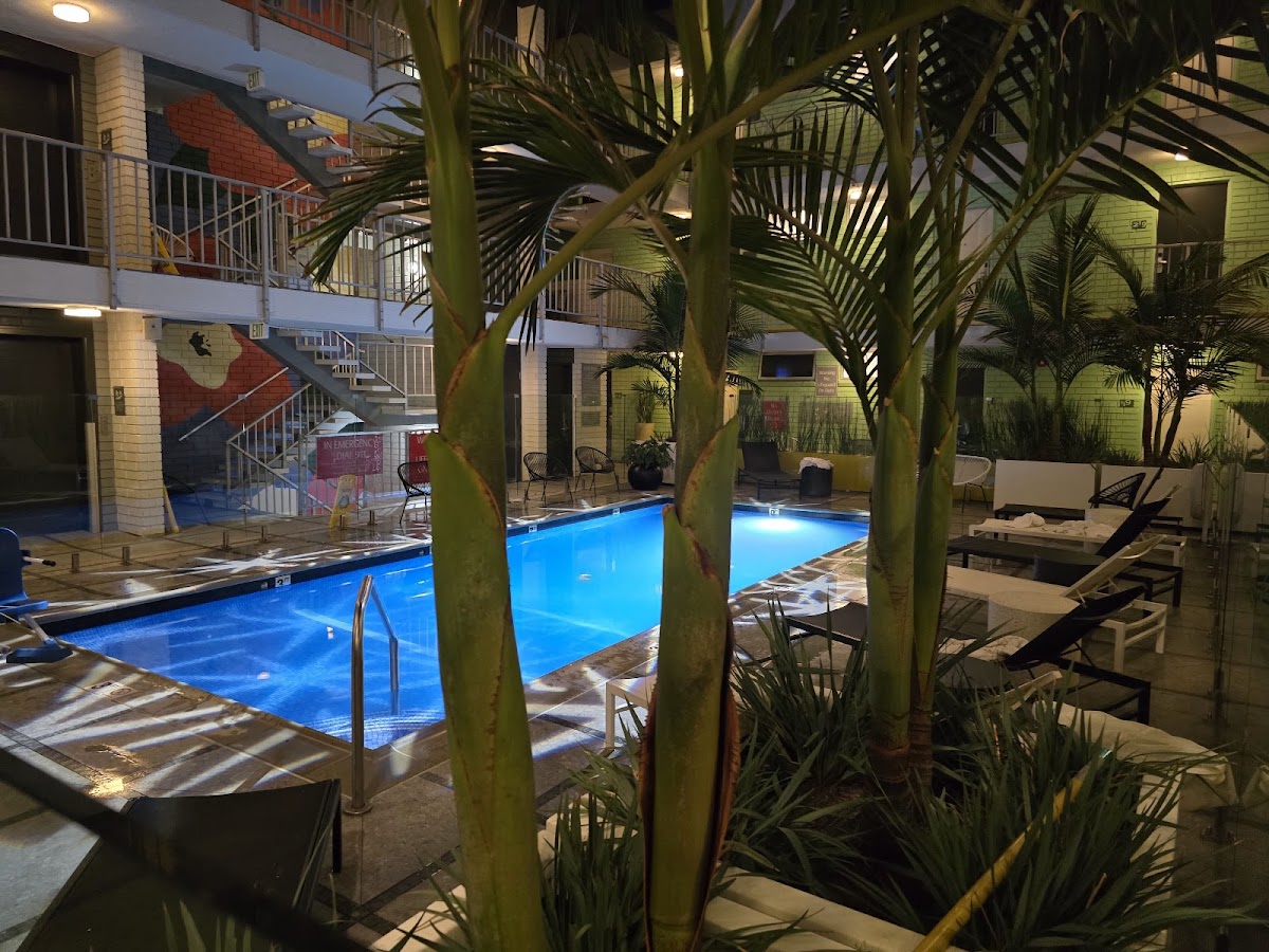 The Adler A Hollywood Hotel photo 3