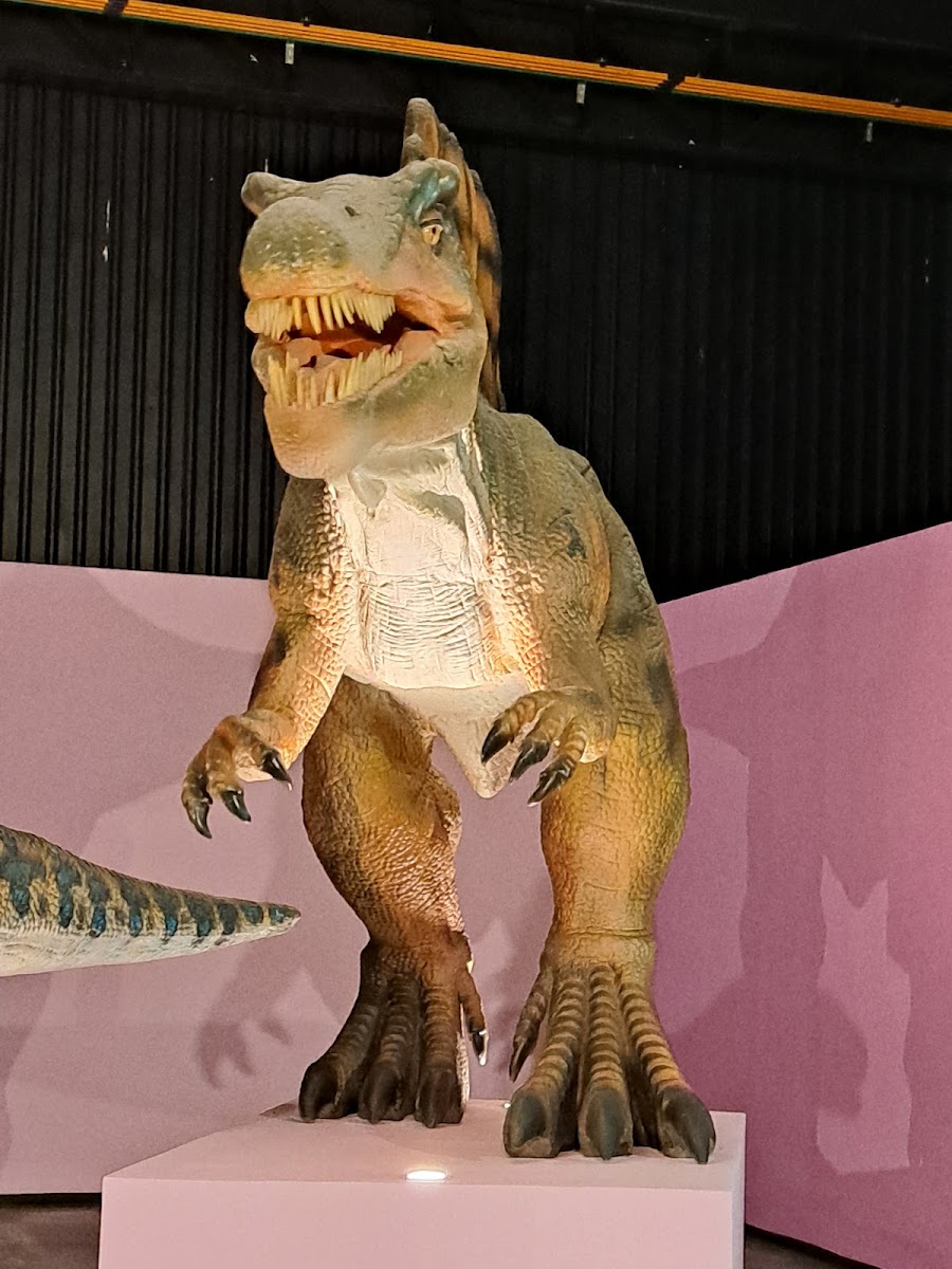 Huerta Dinosaurio