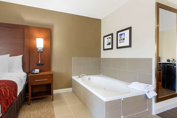Comfort Inn & Suites Macon West photo 2