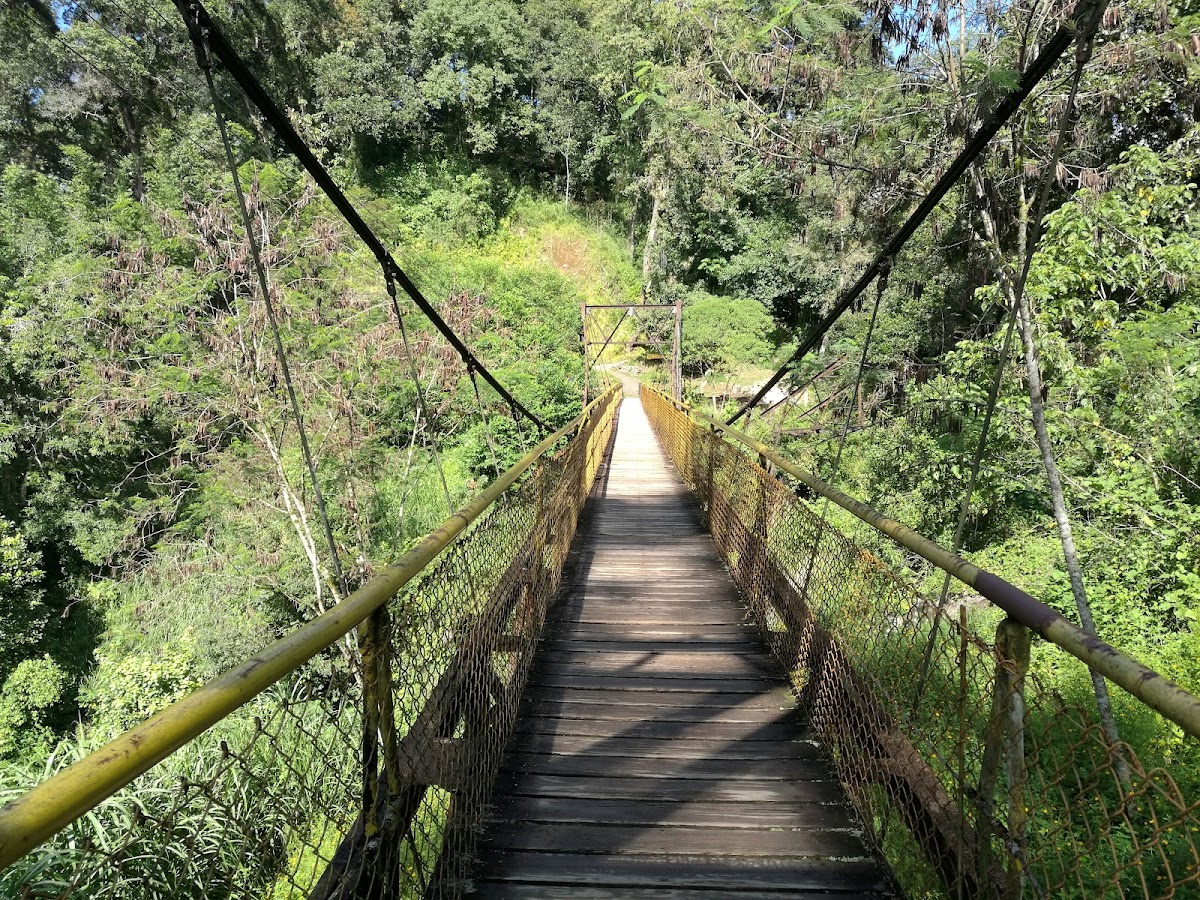 Cascada De Texolo