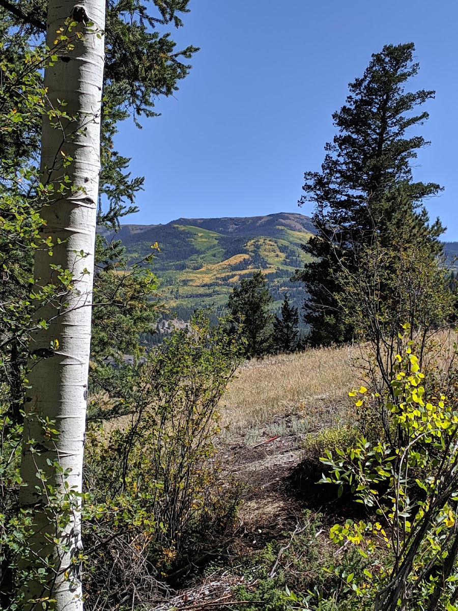 Lake City Ski Hill photo 3