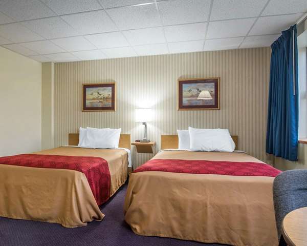 Econo Lodge Manchester photo 3