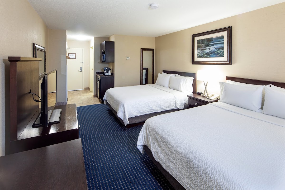 Holiday Inn Express & Suites Edson by IHG photo 2