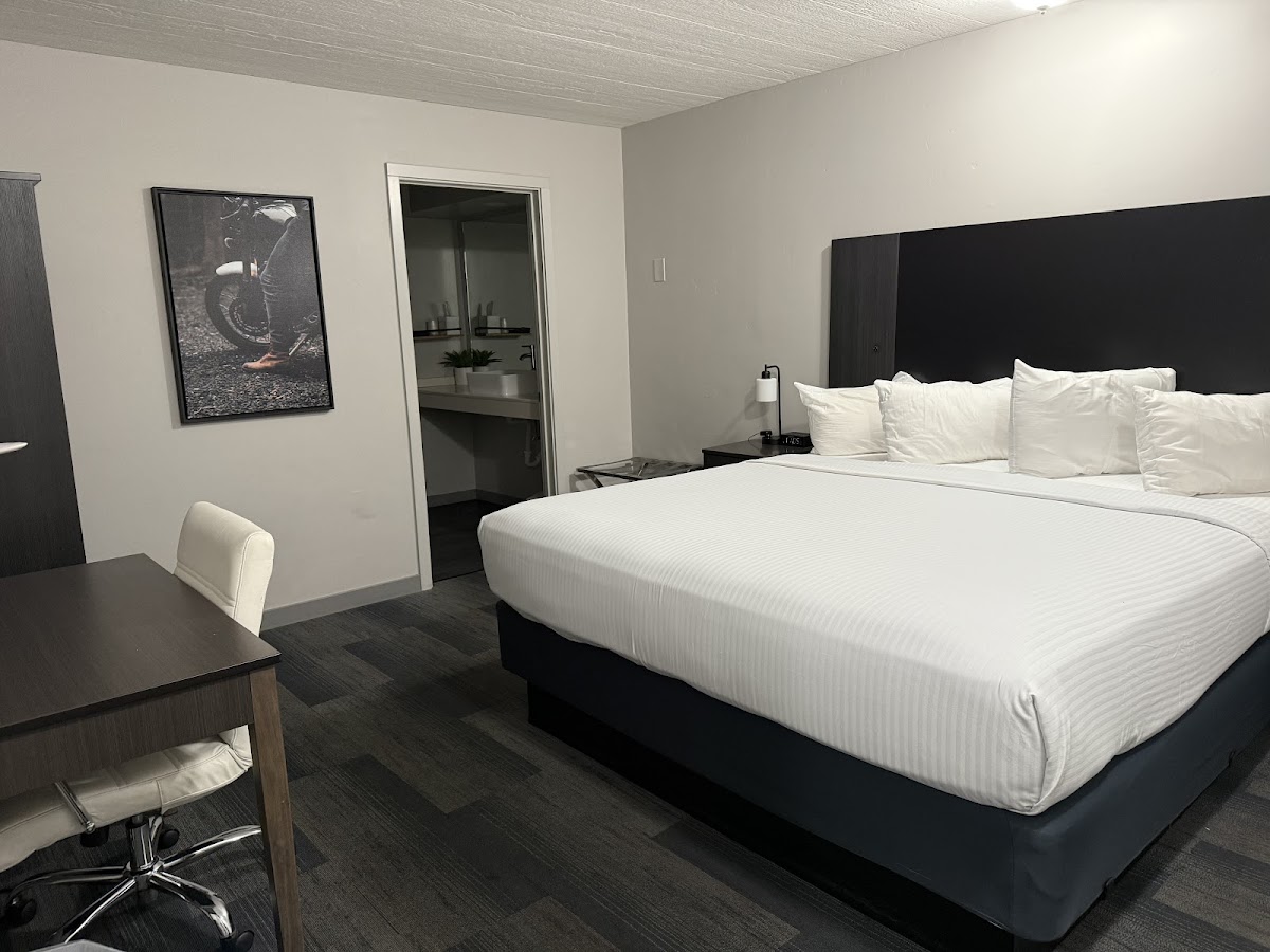 Americana Modern Hotel photo 2