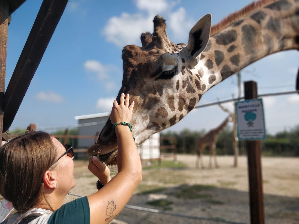 Zoo d'Abruzzo