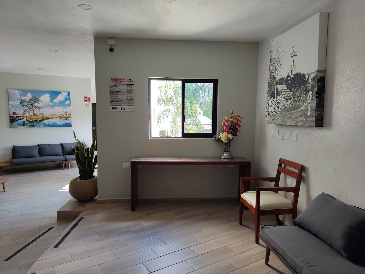 Hotel Palmar photo 3
