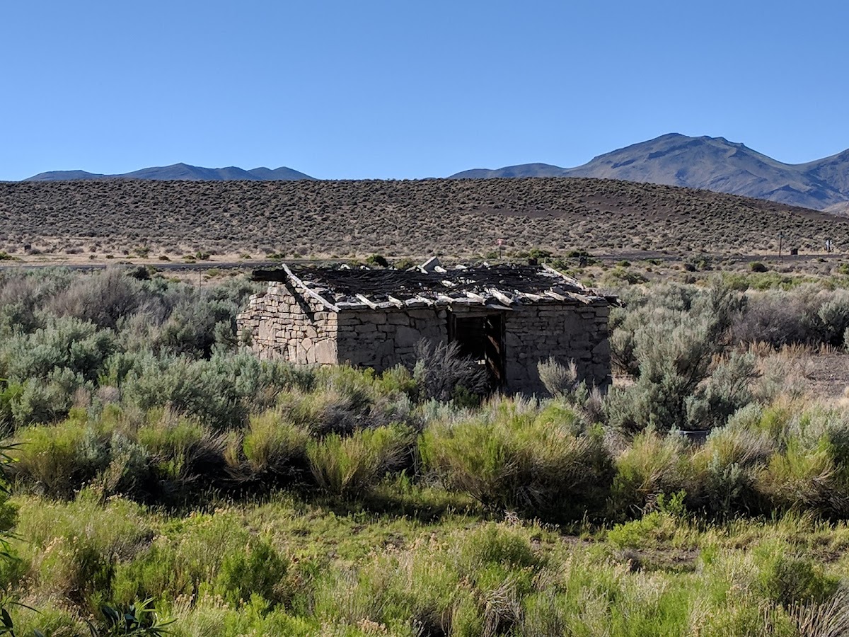 The Fields Station photo 3