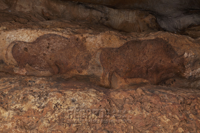 Grotte de Font-de-Gaume
