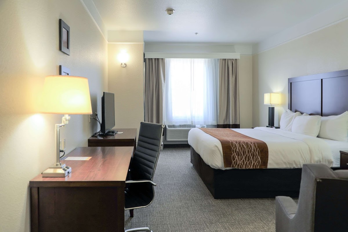 Comfort Inn & Suites, Odessa I-20 photo 2