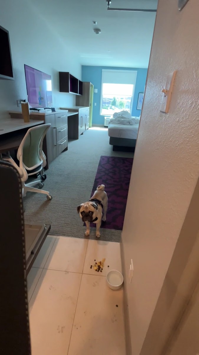 Home2 Suites by Hilton Round Rock Medical Center photo 2