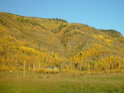 Williston Lake Resort photo 2