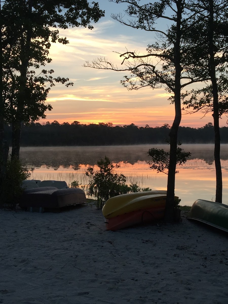 Holly Lake Resort photo 3
