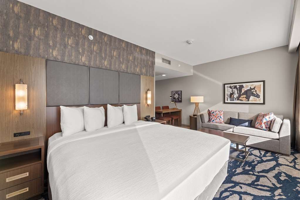 Embassy Suites by Hilton Irving Las Colinas photo 3