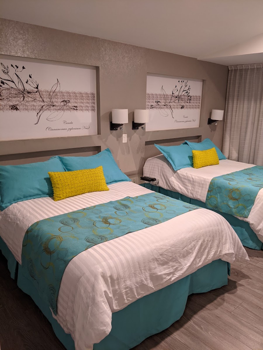 Herbal Inn Suites Puebla photo 3