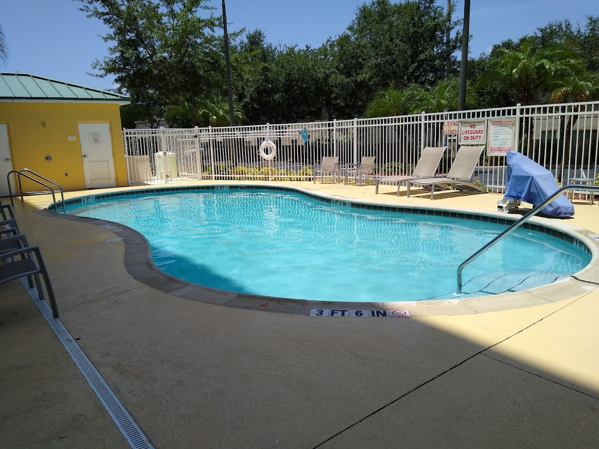 SpringHill Suites by Marriott Tampa Brandon photo 2