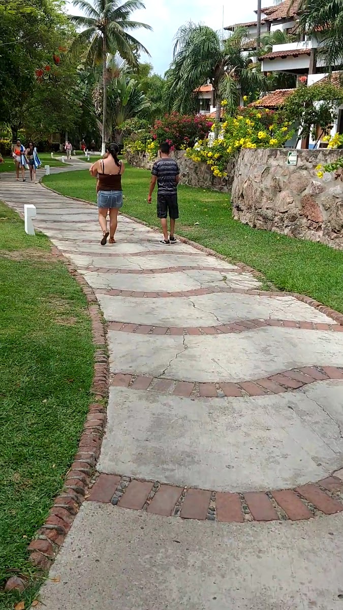 Villa Pacifico - Vamar Vallarta Hotel photo 2