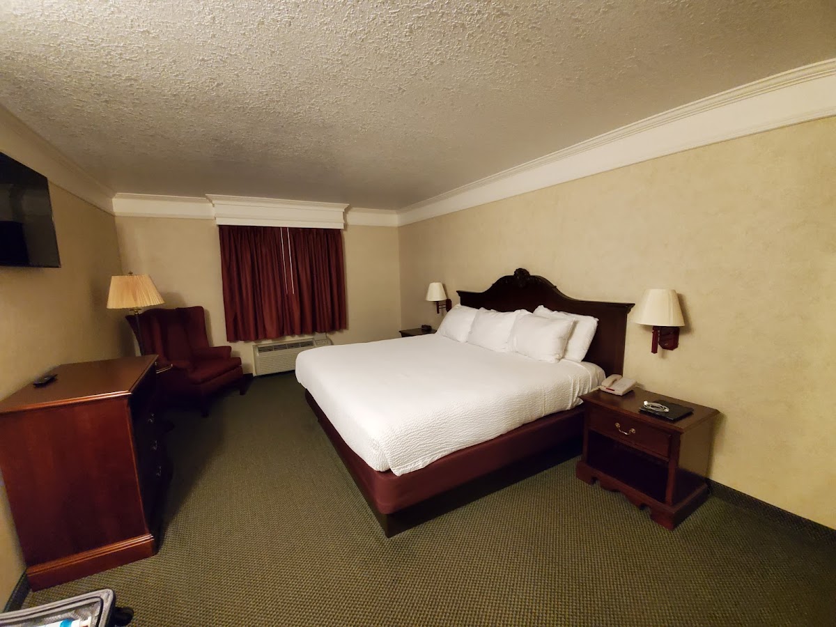 Queen of Diamonds Inn
