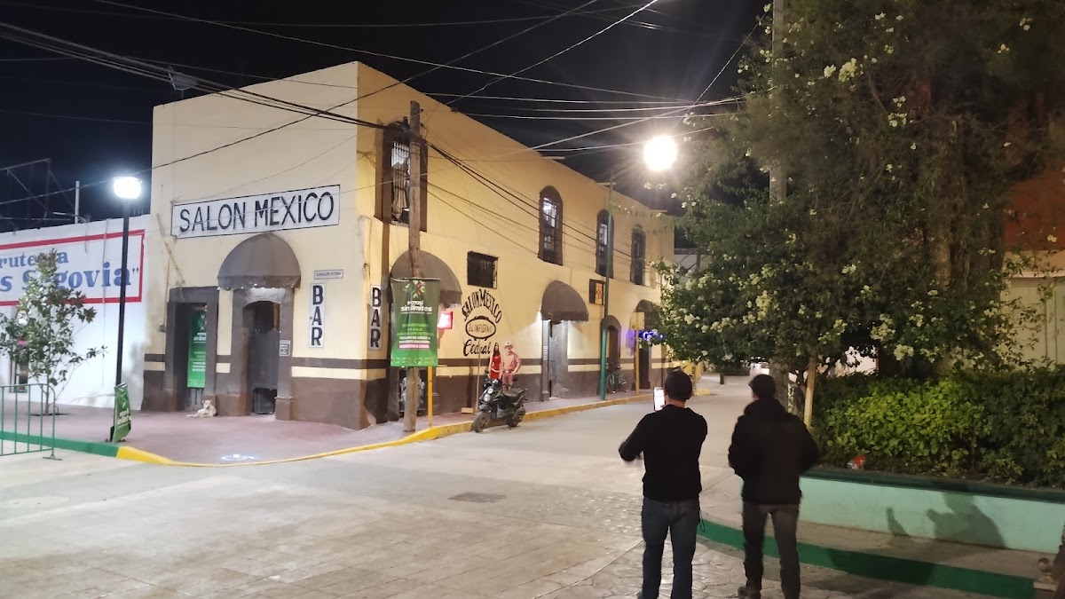 Hotel Cedral Plaza