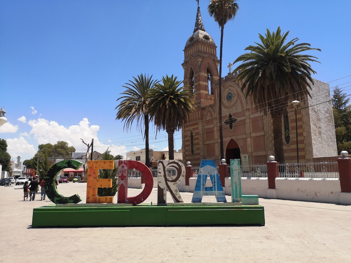 Hotel Cedral Plaza photo 3