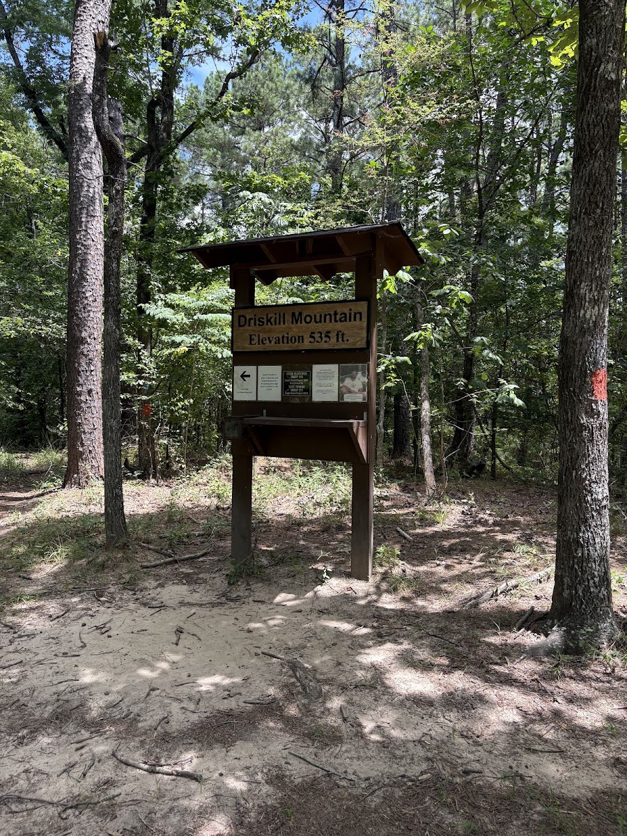 Driskill Mountain