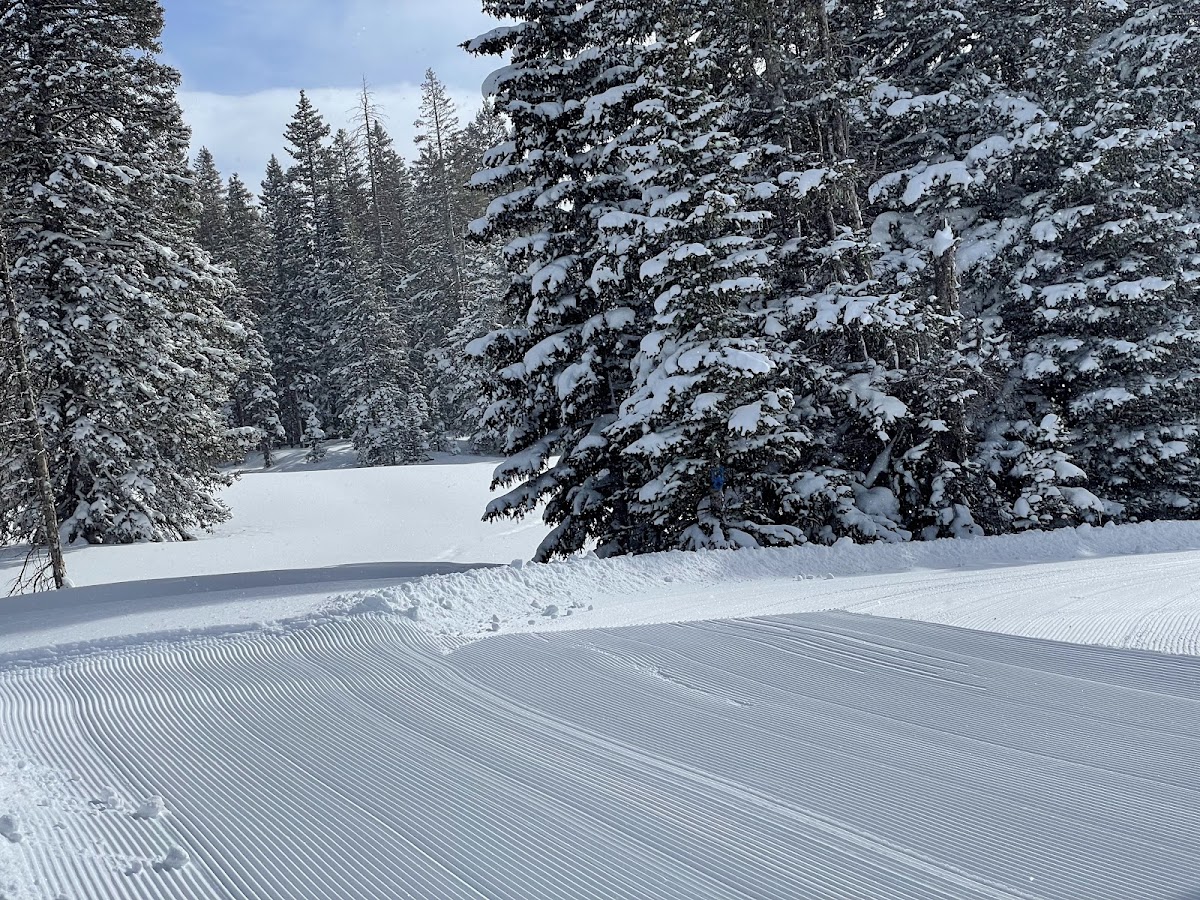 Skyway Ski Trailhead photo 3