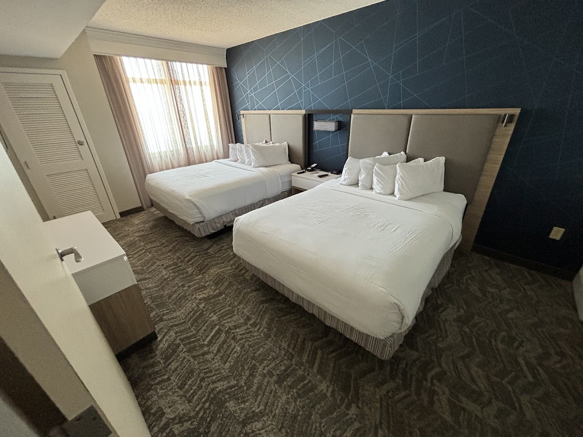 SpringHill Suites by Marriott Virginia Beach Oceanfront photo 3