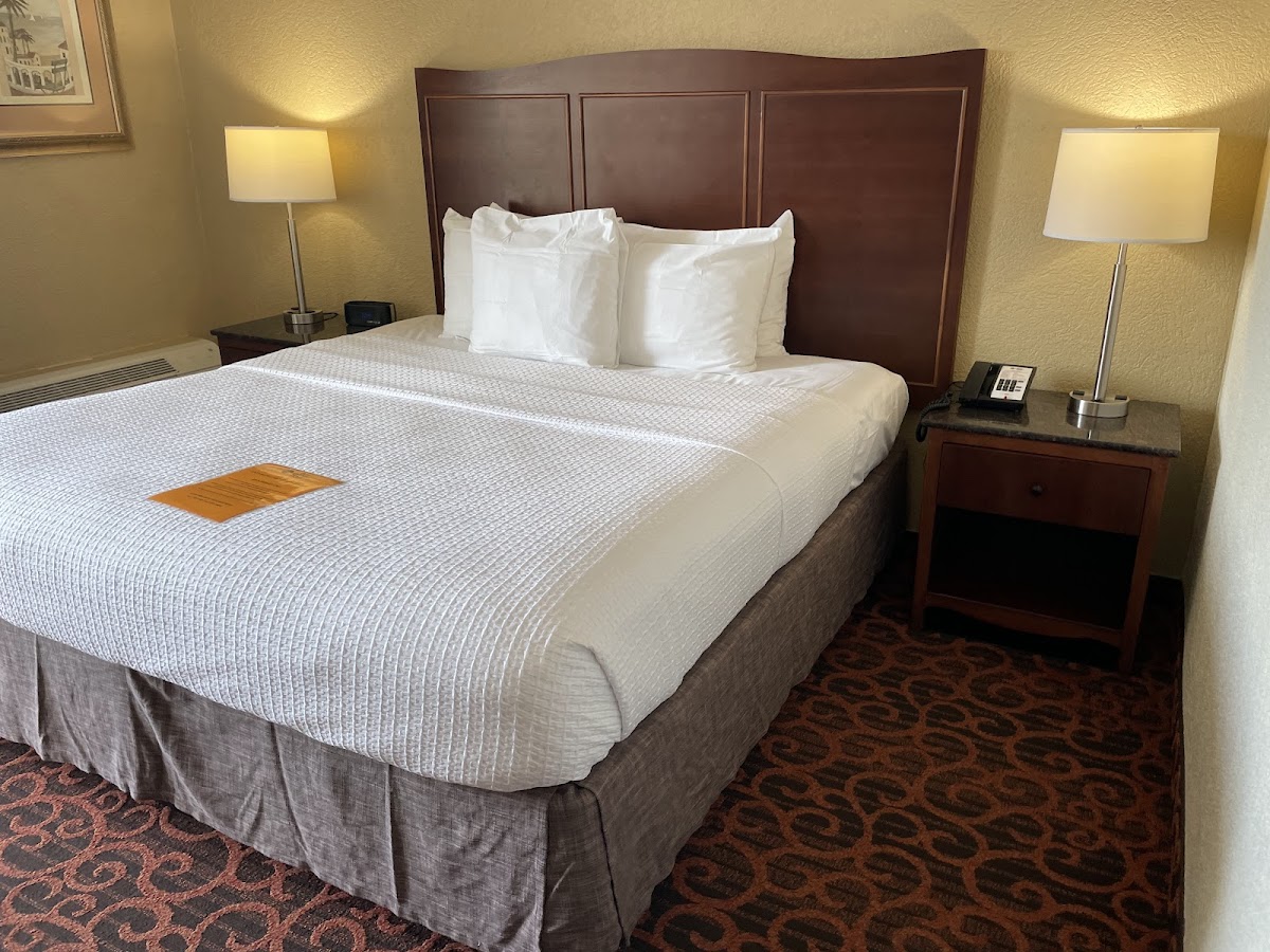 Best Western Plus North Miami/Bal Harbour photo 3