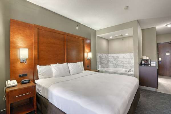 Comfort Suites Madison West - Middleton photo 3