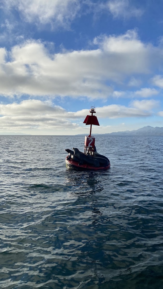 Magdalena Bay Sport & Adventures photo 3