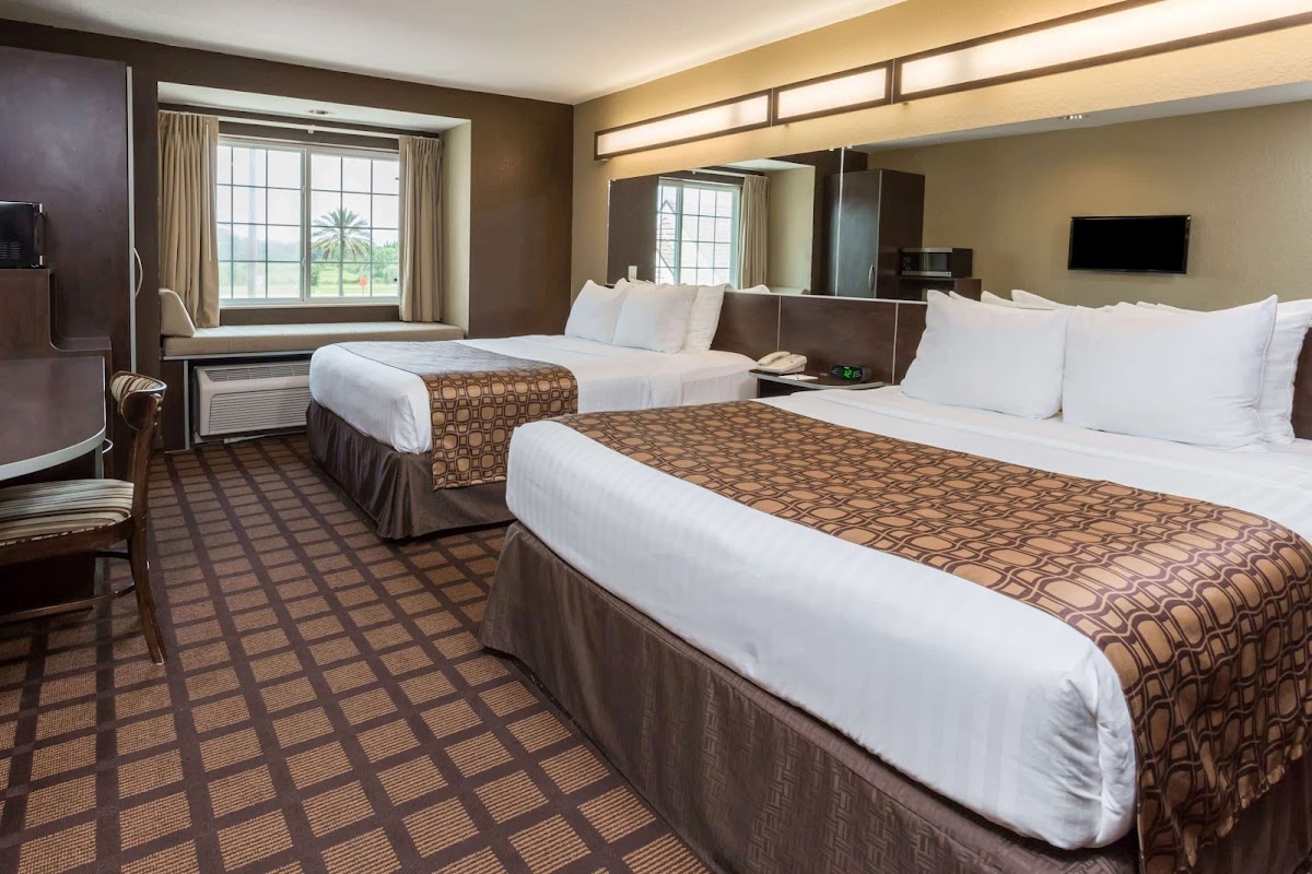 Microtel Inn & Suites by Wyndham Jacksonville Airport photo 2