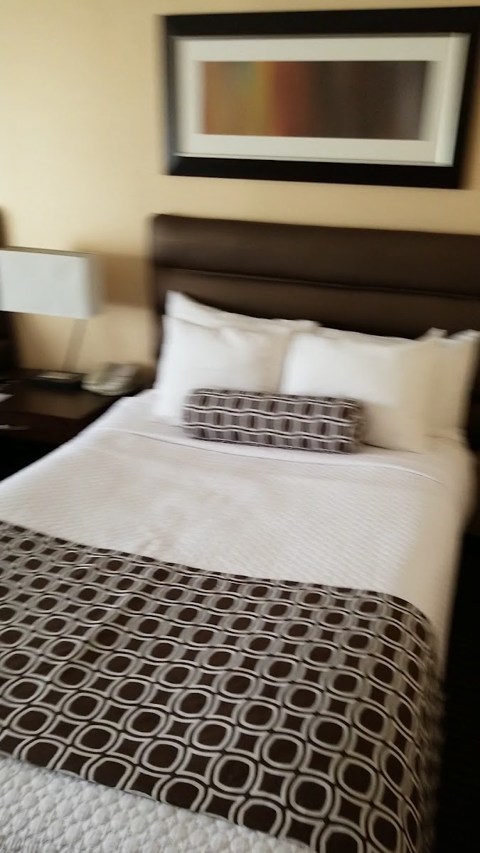Crowne Plaza Columbus North- Worthington by IHG photo 2