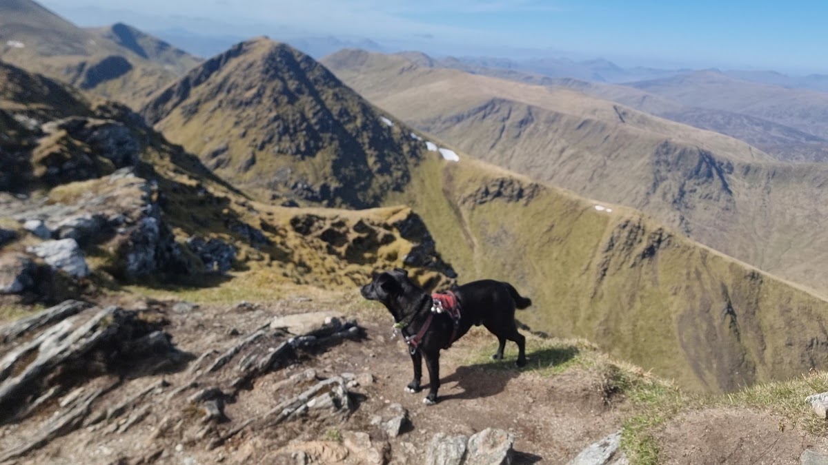 Ben Lawers Hotel photo 2