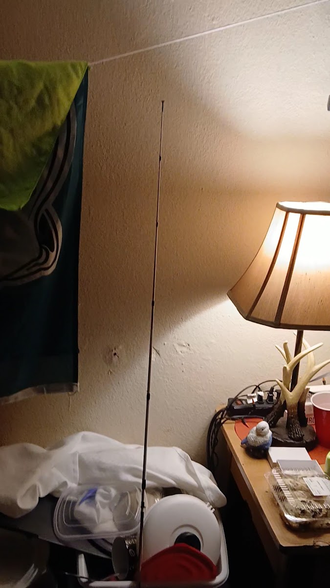 Lake Wales Inn photo 2