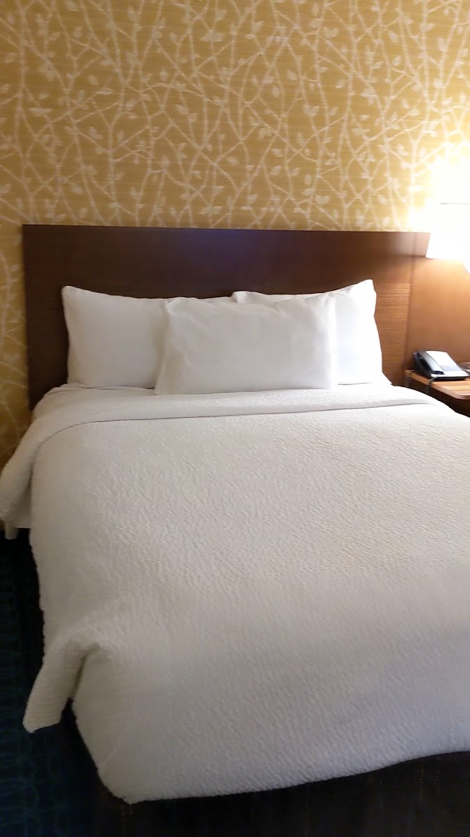 Fairfield by Marriott Inn & Suites Bloomsburg photo 2