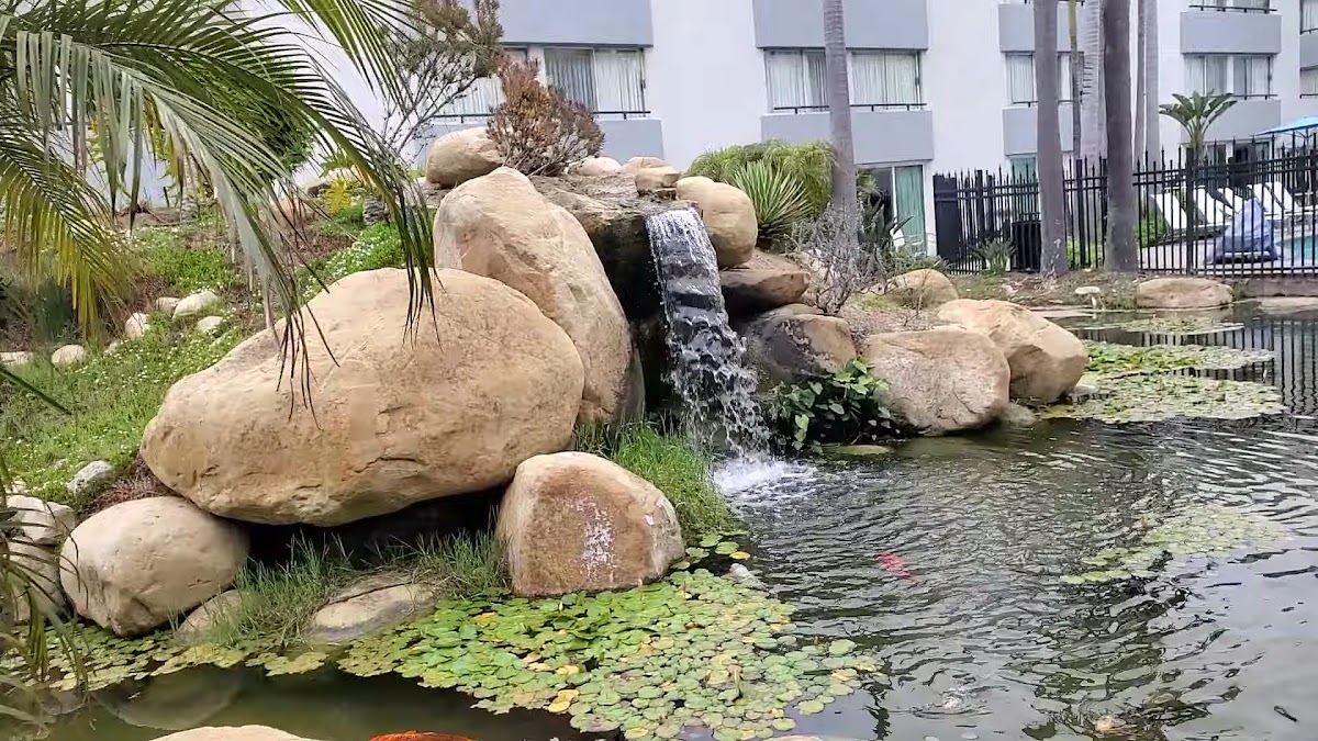 Ventura Beach Marriott photo 2