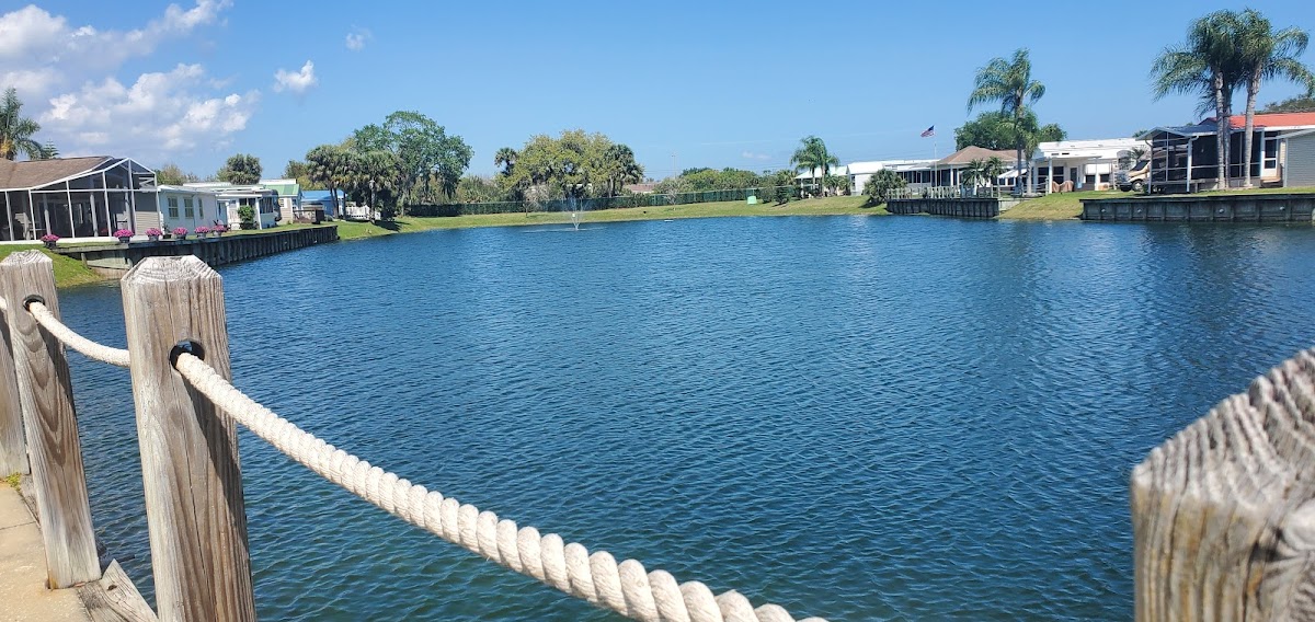 Willow Lakes RV Resort photo 2